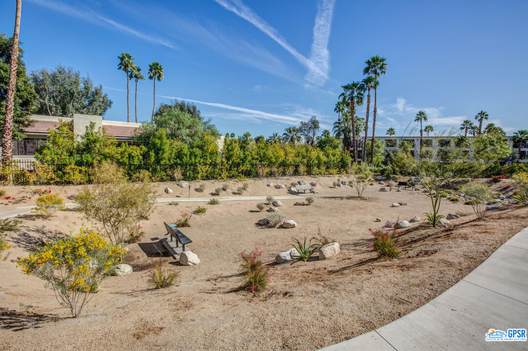158 The River Palm Springs, CA 92262 - Photo 15 of 17 a view of a dry yard with a tree