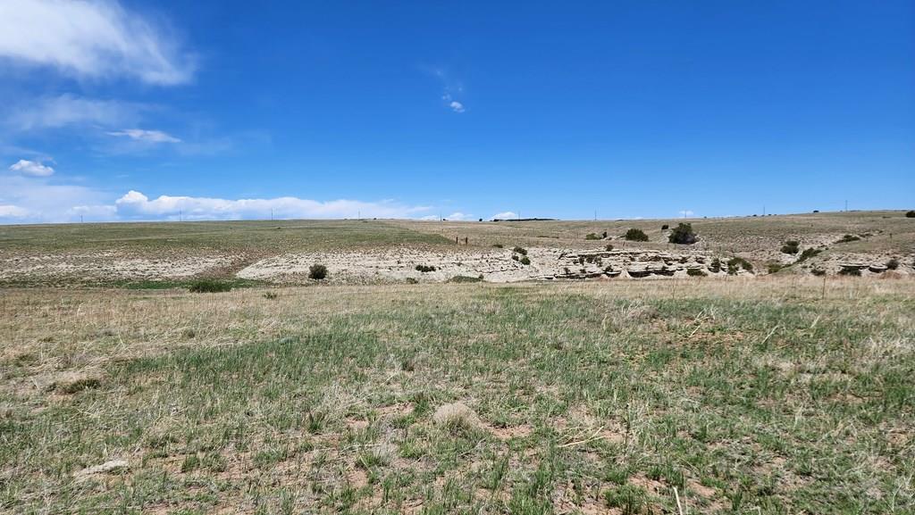 110 County Road 110 Rye, CO 81069 - Photo 22 of 37