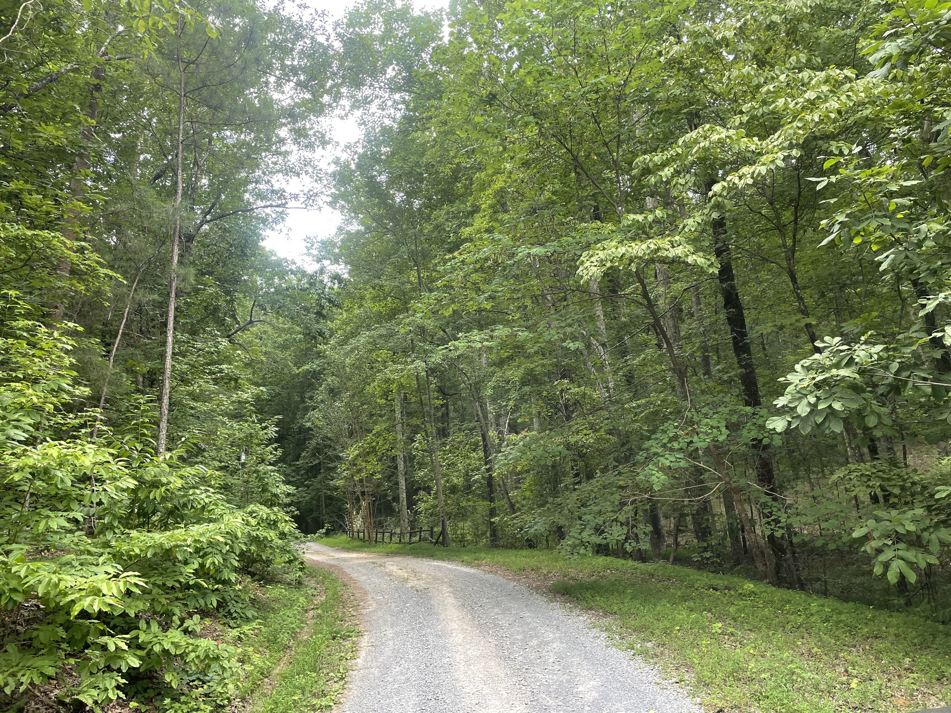 1096 Gable Drive Ranger, GA 30734 - Photo 3 of 12 a view of a street
