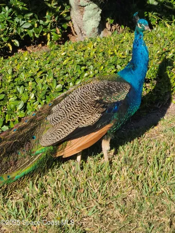 $375,000 | 652 Seaport Boulevard, Unit T230, Cape Canaveral, FL 32920