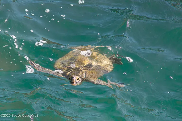 $375,000 | 652 Seaport Boulevard, Unit T230, Cape Canaveral, FL 32920