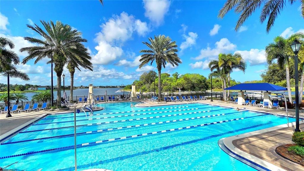 933 Signet Drive Apollo Beach, FL 33572 - Photo 62 of 66