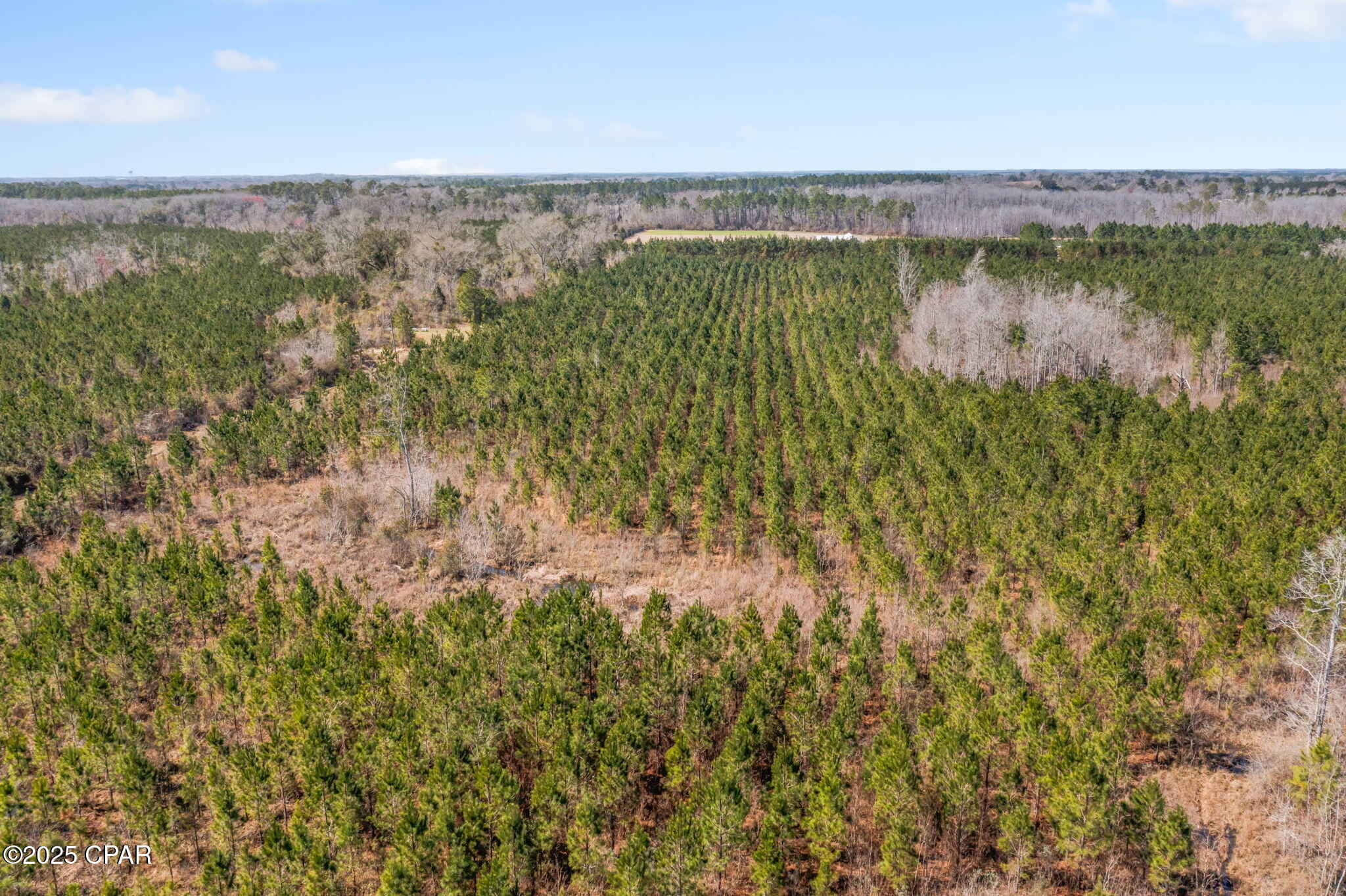 Lot 4 New Prospect Road Chipley, FL 32428 - Photo 22 of 26