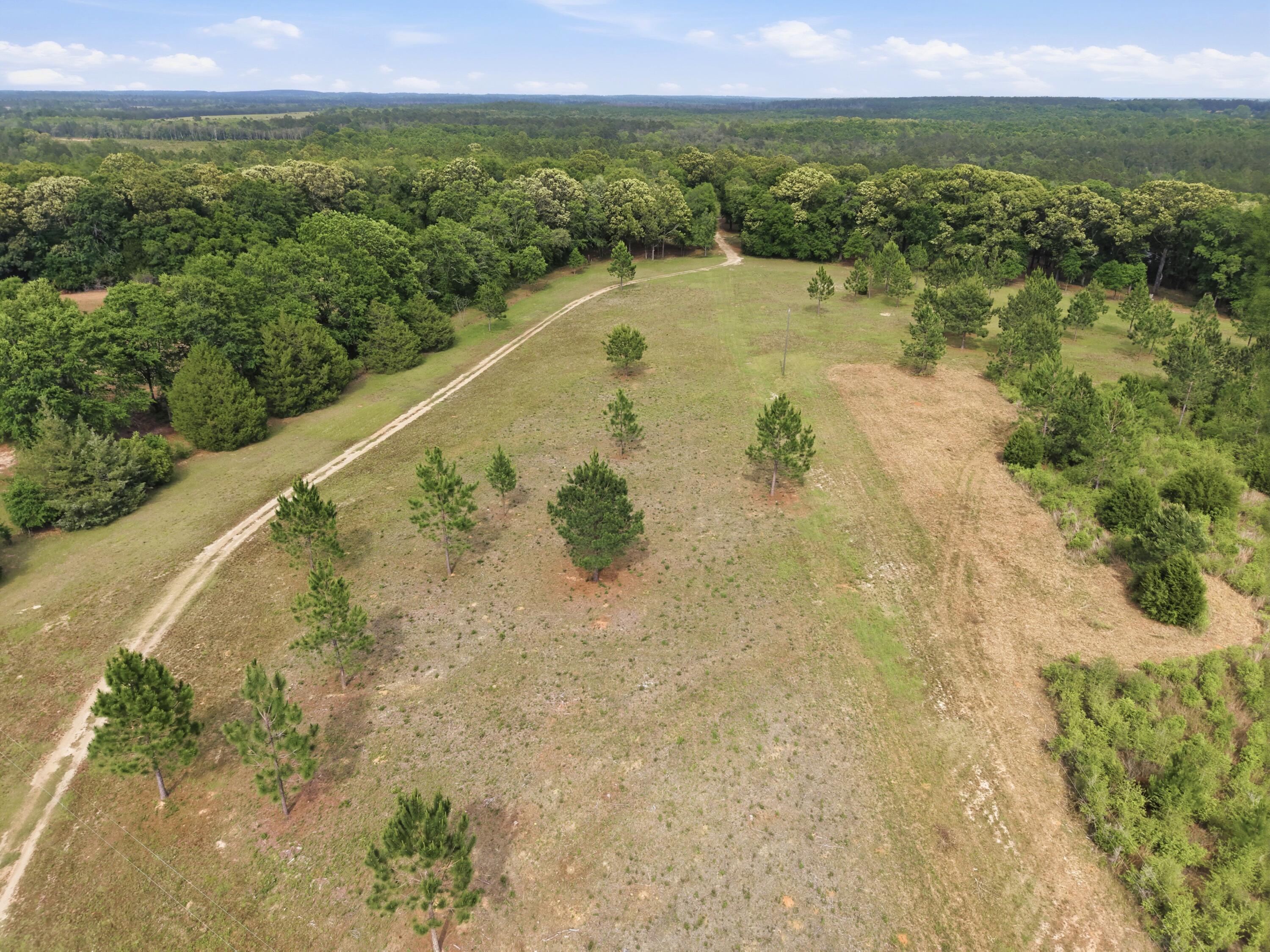 261 Wilkerson Road DeFuniak Springs, FL 32433 - Photo 18 of 76 a view of a lake