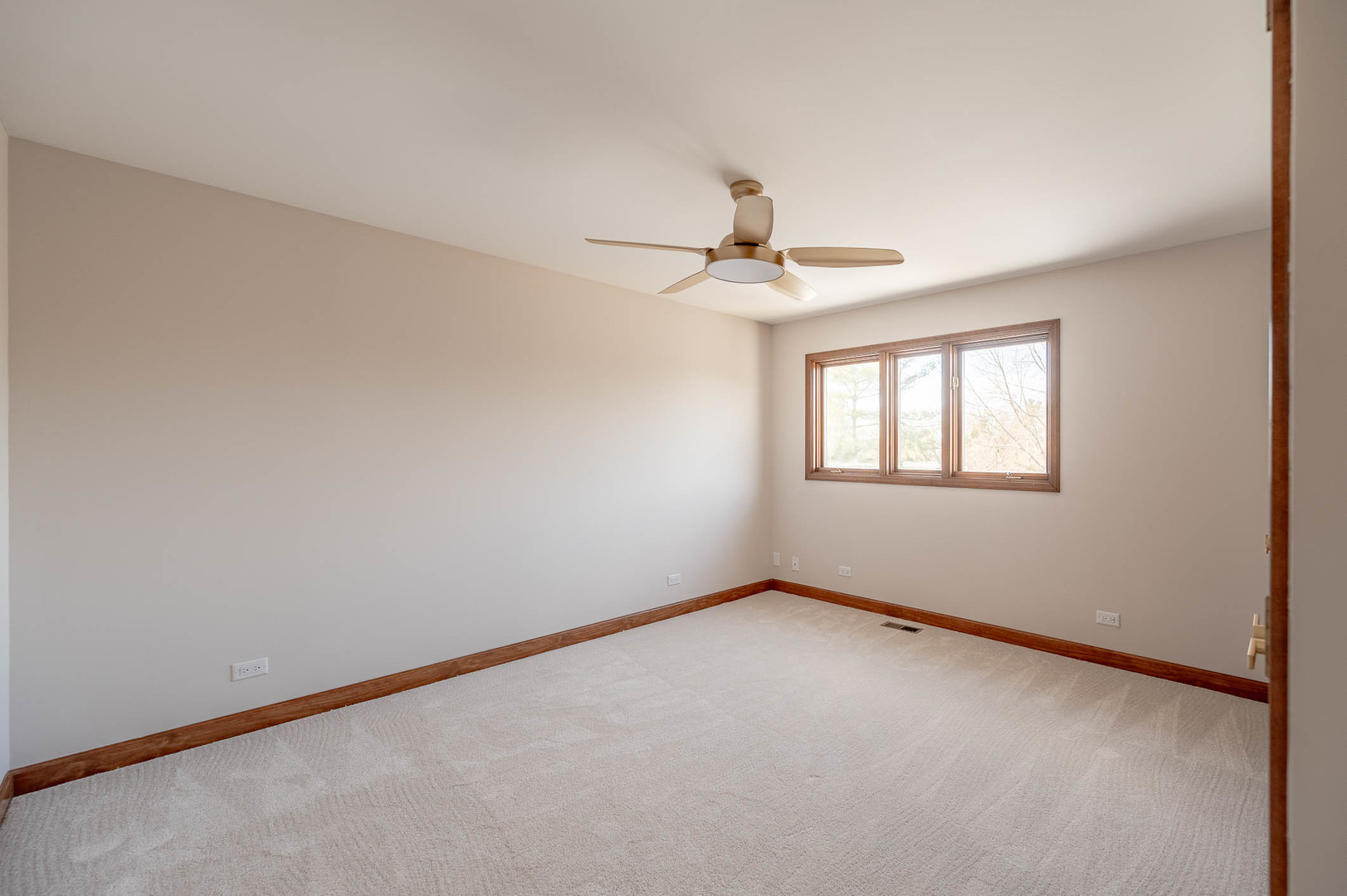 501 Bryan Trail New Lenox, IL 60451 - Photo 17 of 24 a view of an empty room with a window
