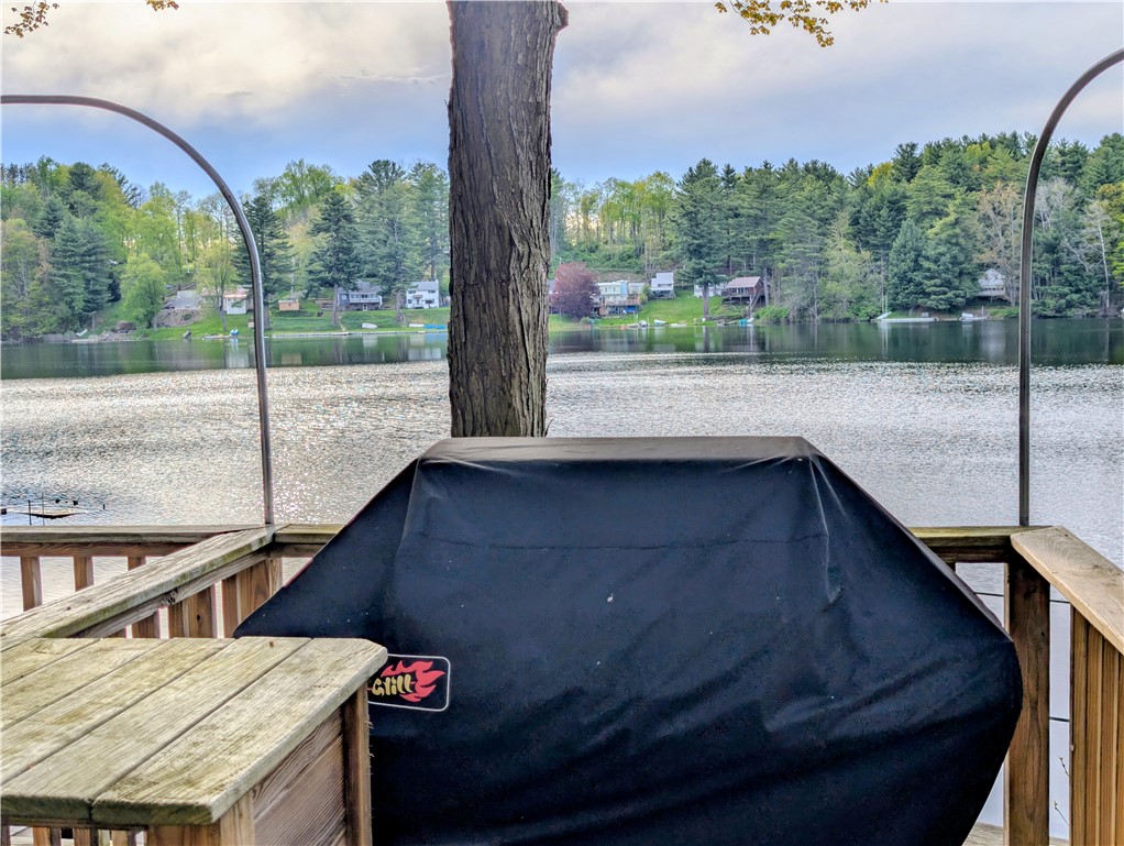5073 Camp Rathbun Road Avoca, NY 14809 - Photo 29 of 42 Outdoor grill and prep area