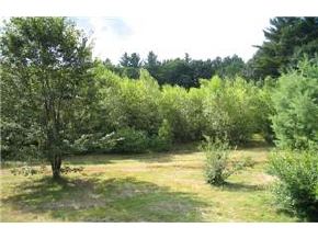 86 Bennington Depot Road Deering, NH 03244 - Photo 5 of 8