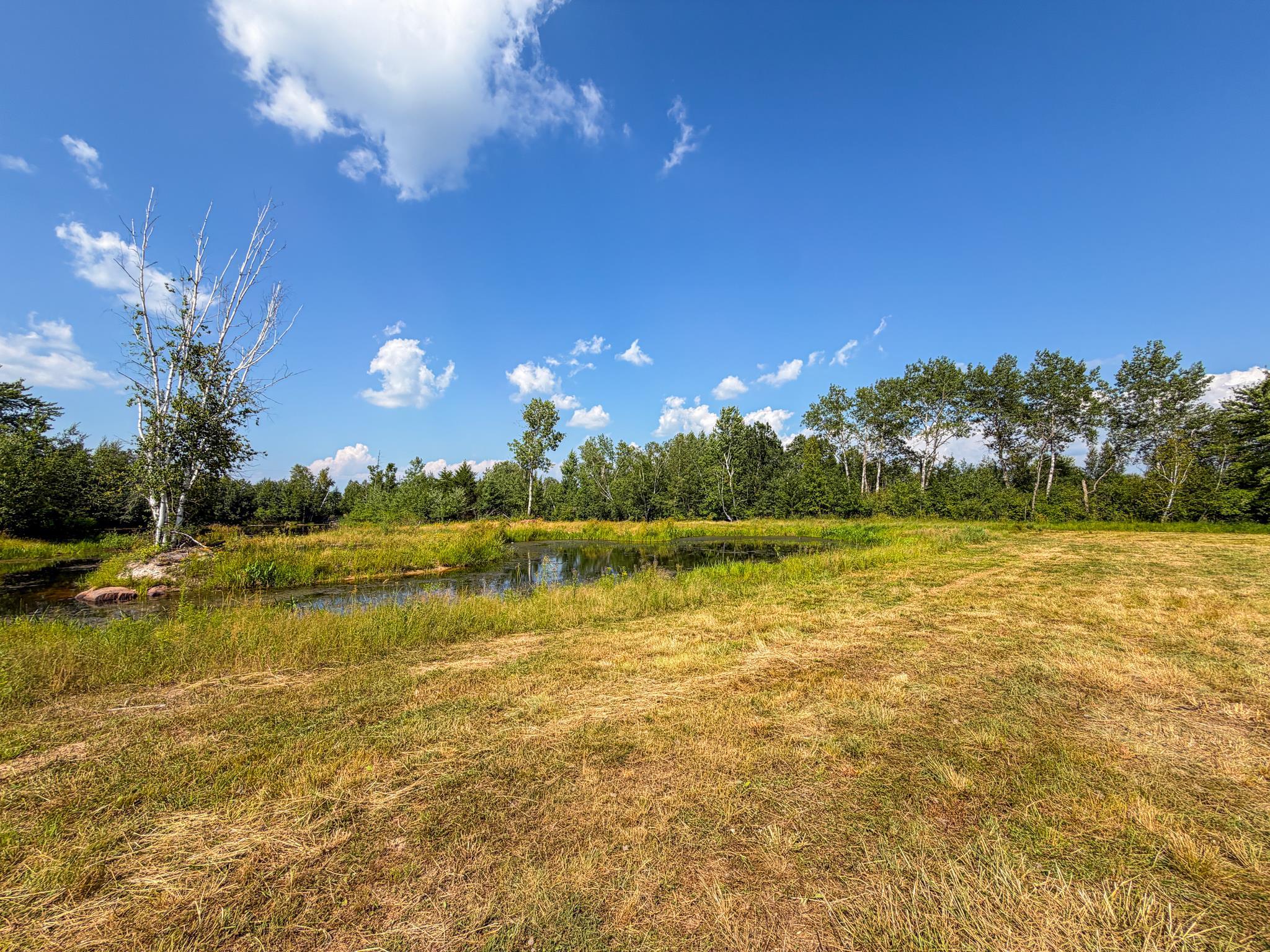 7218 County Rd HH Vesper, WI 54489 - Photo 59 of 90 Gallery Image 59