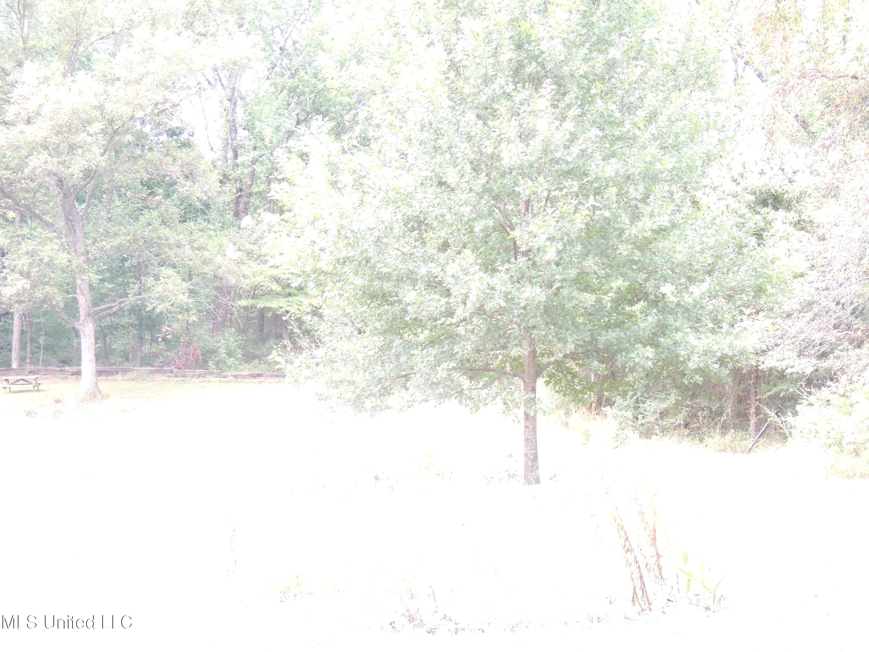 2780 North Crockett Road Senatobia, MS 38668 - Photo 32 of 35 DSCN5074