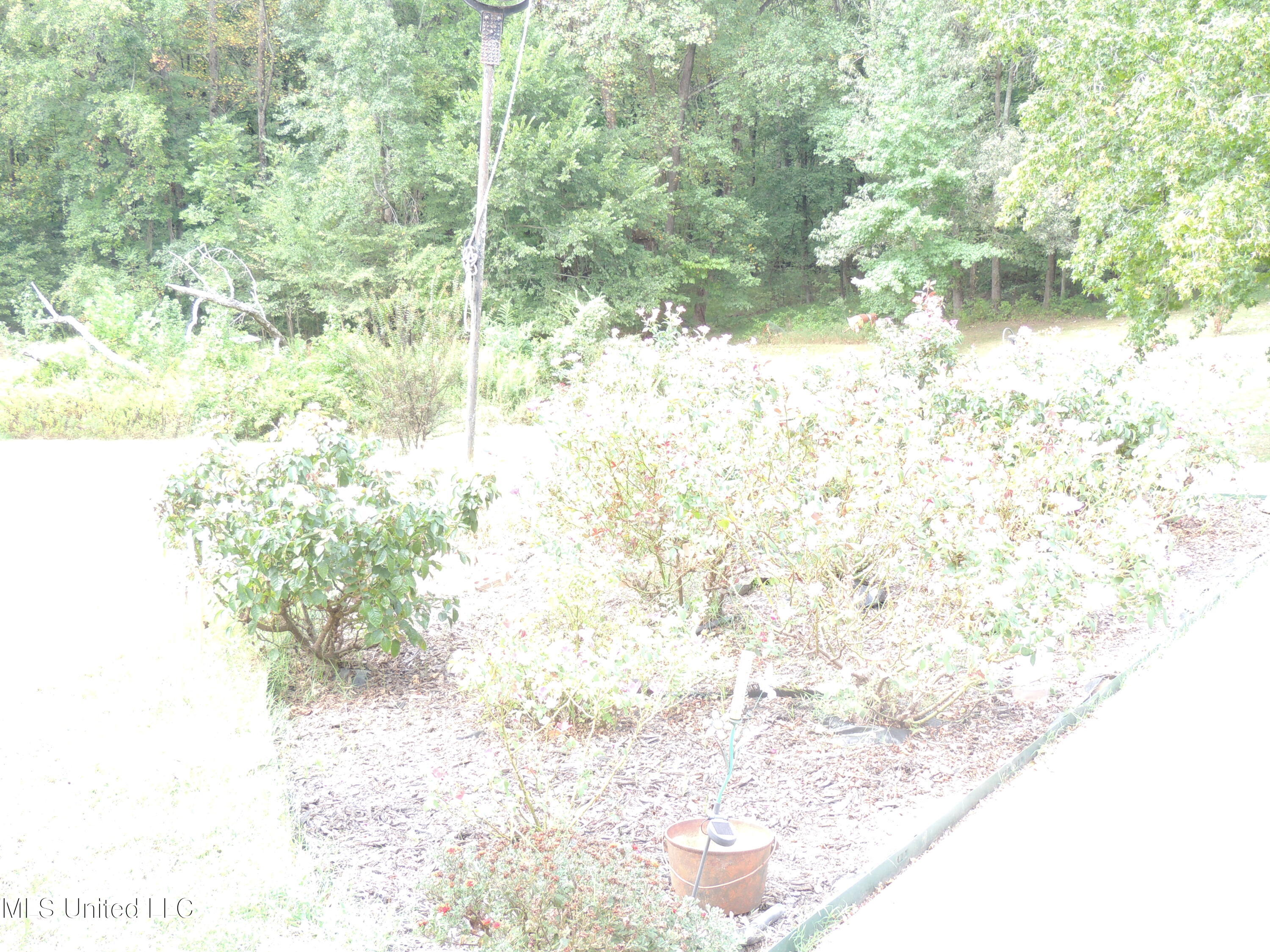 2780 North Crockett Road Senatobia, MS 38668 - Photo 33 of 35 DSCN5077