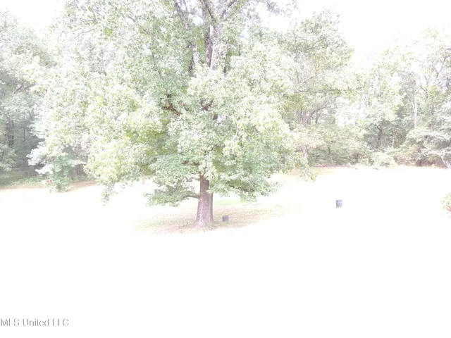 $315,000 | 2780 North Crockett Road, Senatobia, MS 38668