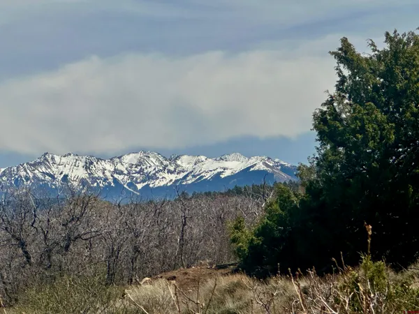 $174,000 | North Gurley Reserve, Norwood, CO 81423