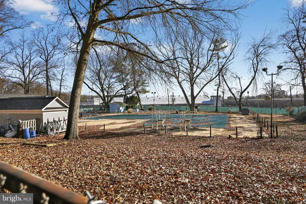 a view of a park with large trees
