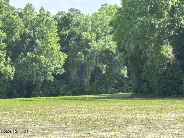 425 Biddle Road Dover, NC 28526 - Photo 24 of 52 IMG_0983
