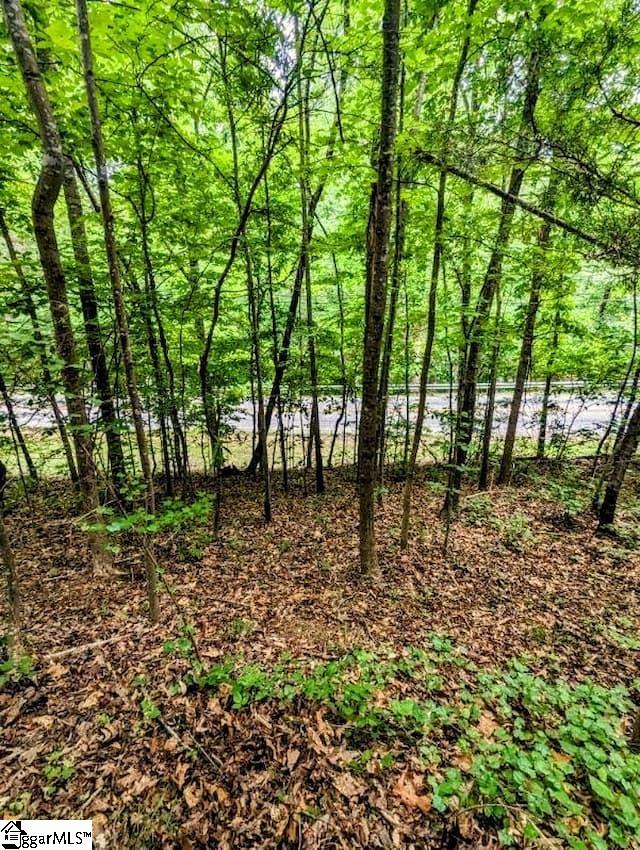 0 Old Farrs Bridge Road Greenville, SC 29611 - Photo 11 of 12 Gallery Image 11