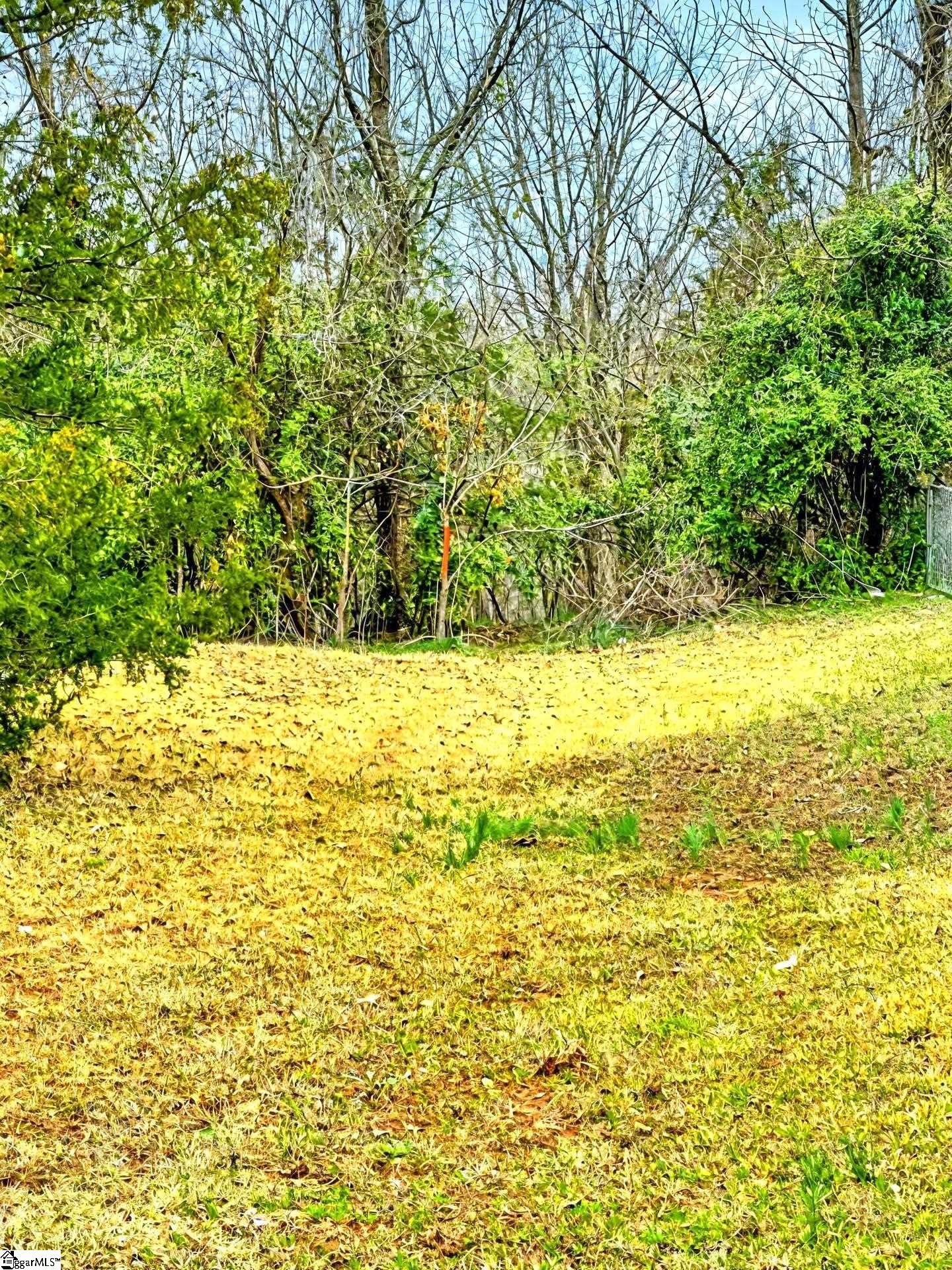 0 Old Farrs Bridge Road Greenville, SC 29611 - Photo 9 of 12 Gallery Image 9