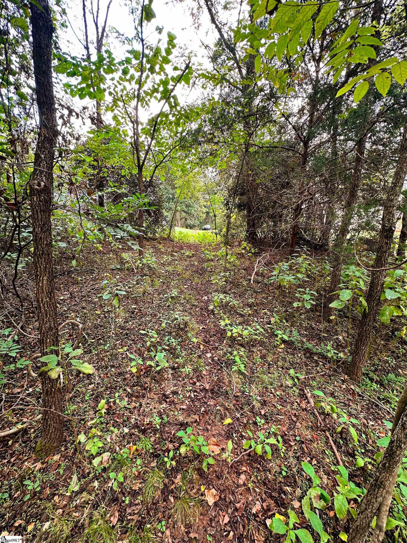 0 Old Farrs Bridge Road Greenville, SC 29611 - Photo 10 of 12 Gallery Image 10