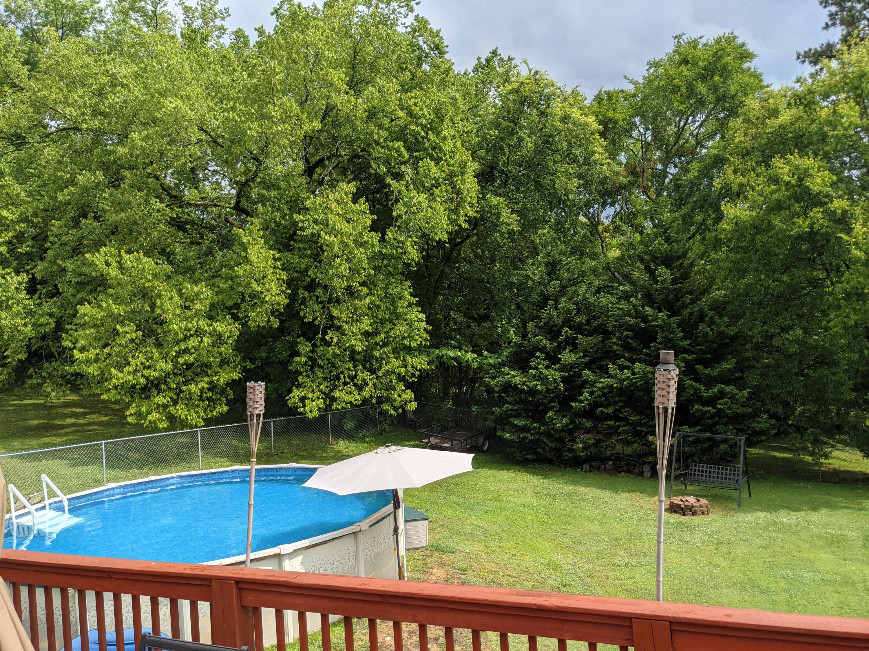 626 Corbley Road Rossville, GA 30741 - Photo 15 of 17 Pool