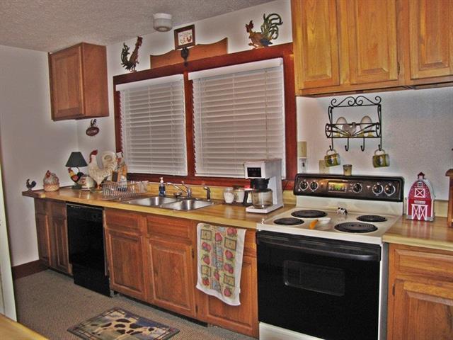 5220 Decatur Highway Ten Mile, TN 37880 - Photo 5 of 31 RCAR20150616AD
