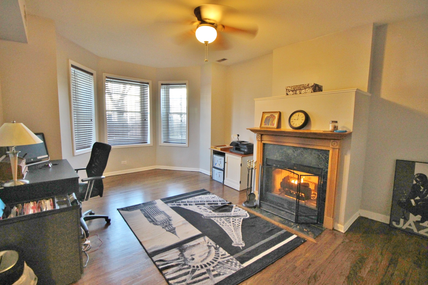 3339 South Giles Avenue Chicago, IL 60616 - Photo 6 of 38 a living room with furniture and a fireplace