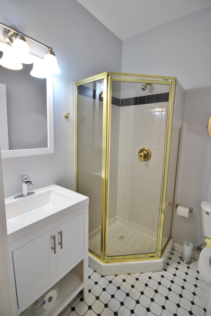 3339 South Giles Avenue Chicago, IL 60616 - Photo 8 of 38 a bathroom with a shower a mirror and a sink