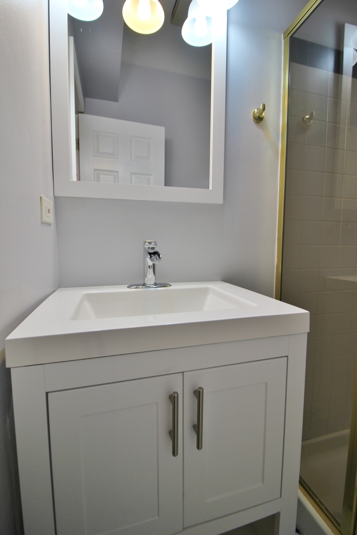 3339 South Giles Avenue Chicago, IL 60616 - Photo 9 of 38 a bathroom with a sink and a mirror