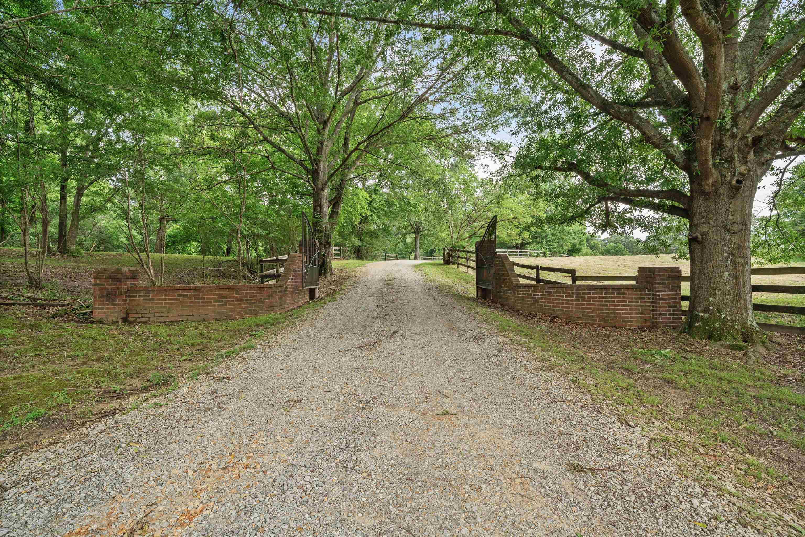 10409-10445 Raleigh Lagrange Road East Eads, TN 38028 - Photo 1 of 17 View of dirt / gravel driveway