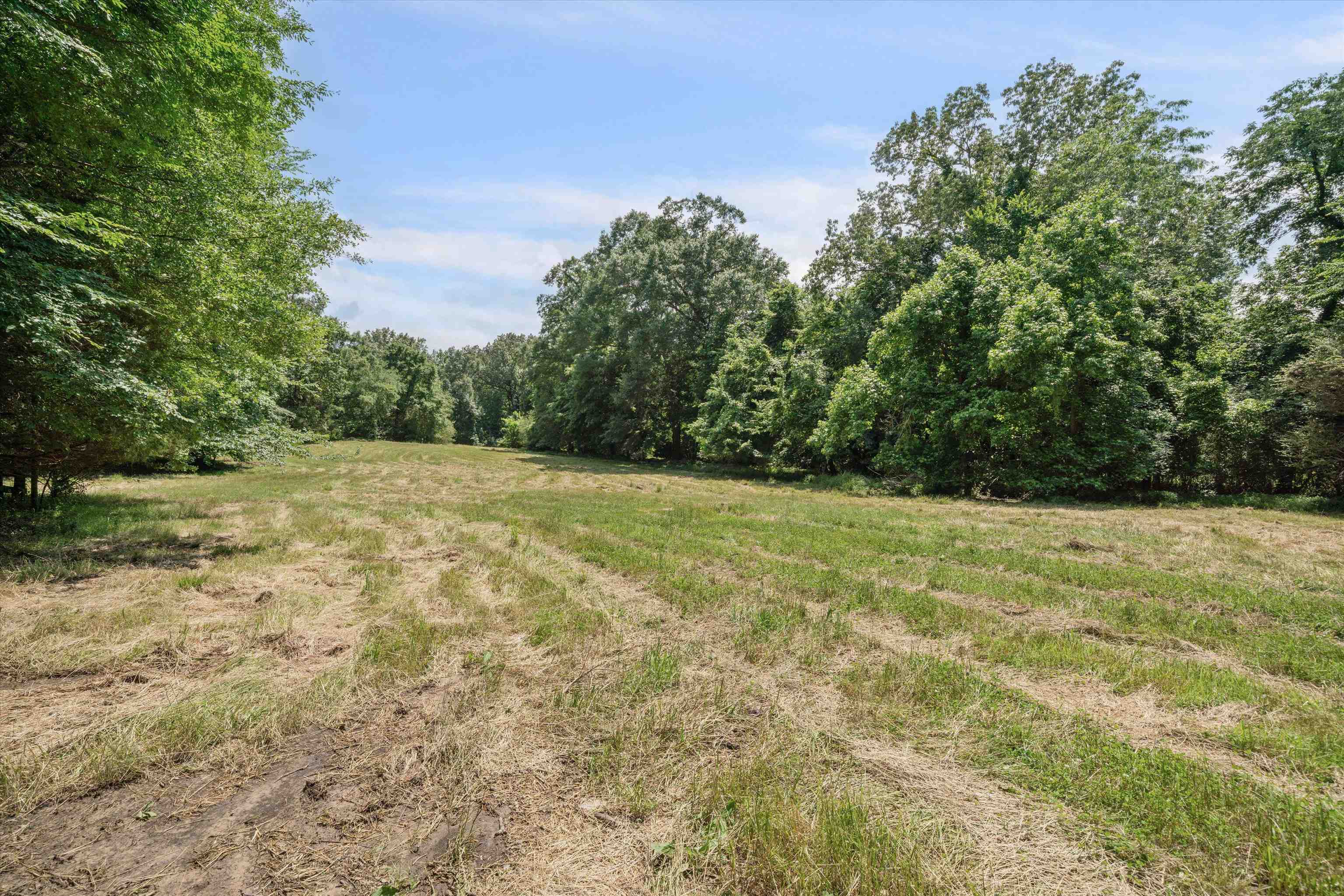 10409-10445 Raleigh Lagrange Road East Eads, TN 38028 - Photo 8 of 17 View of yard featuring a rural view and a view of trees