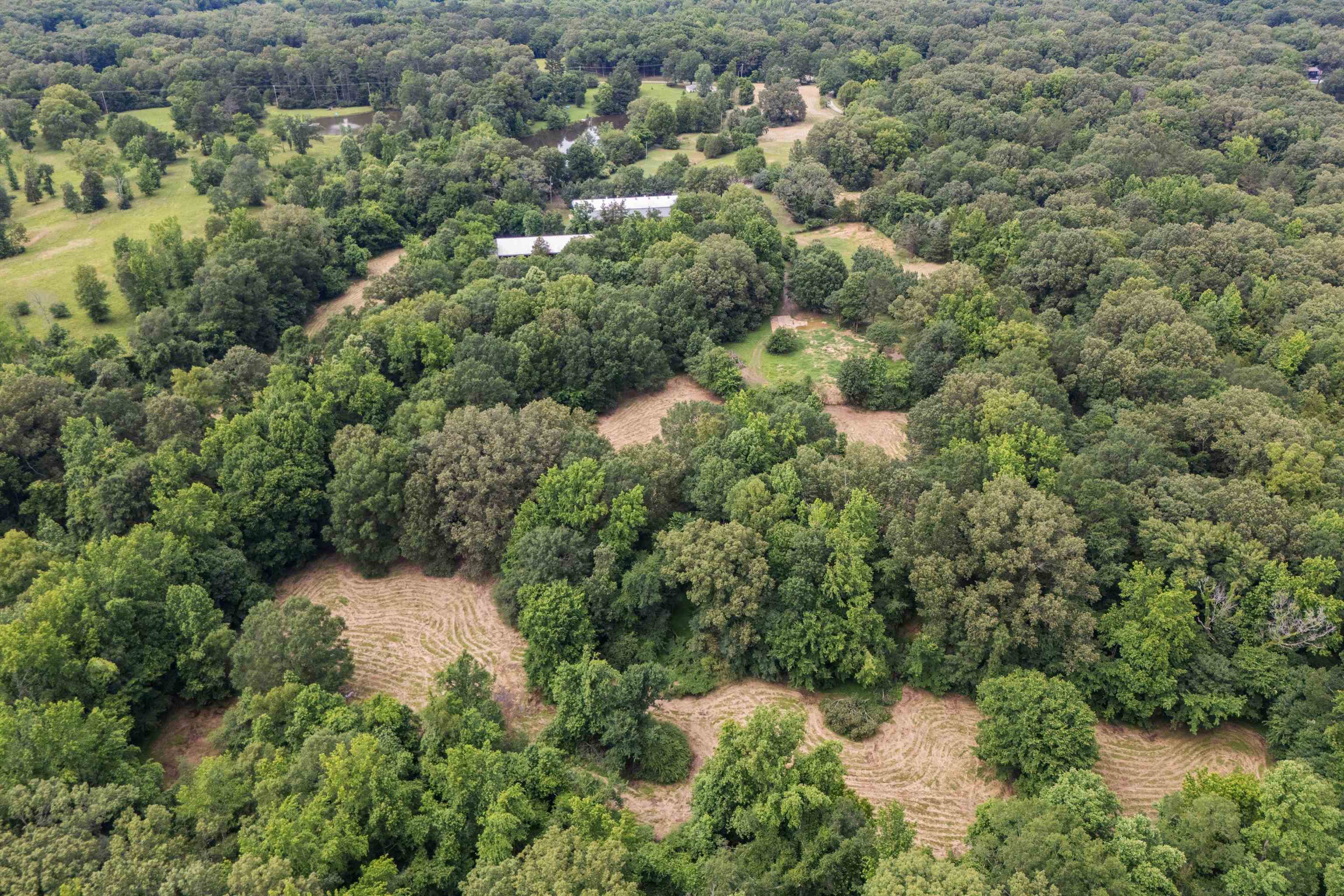 10409-10445 Raleigh Lagrange Road East Eads, TN 38028 - Photo 9 of 17 Aerial view of property's location featuring a forest