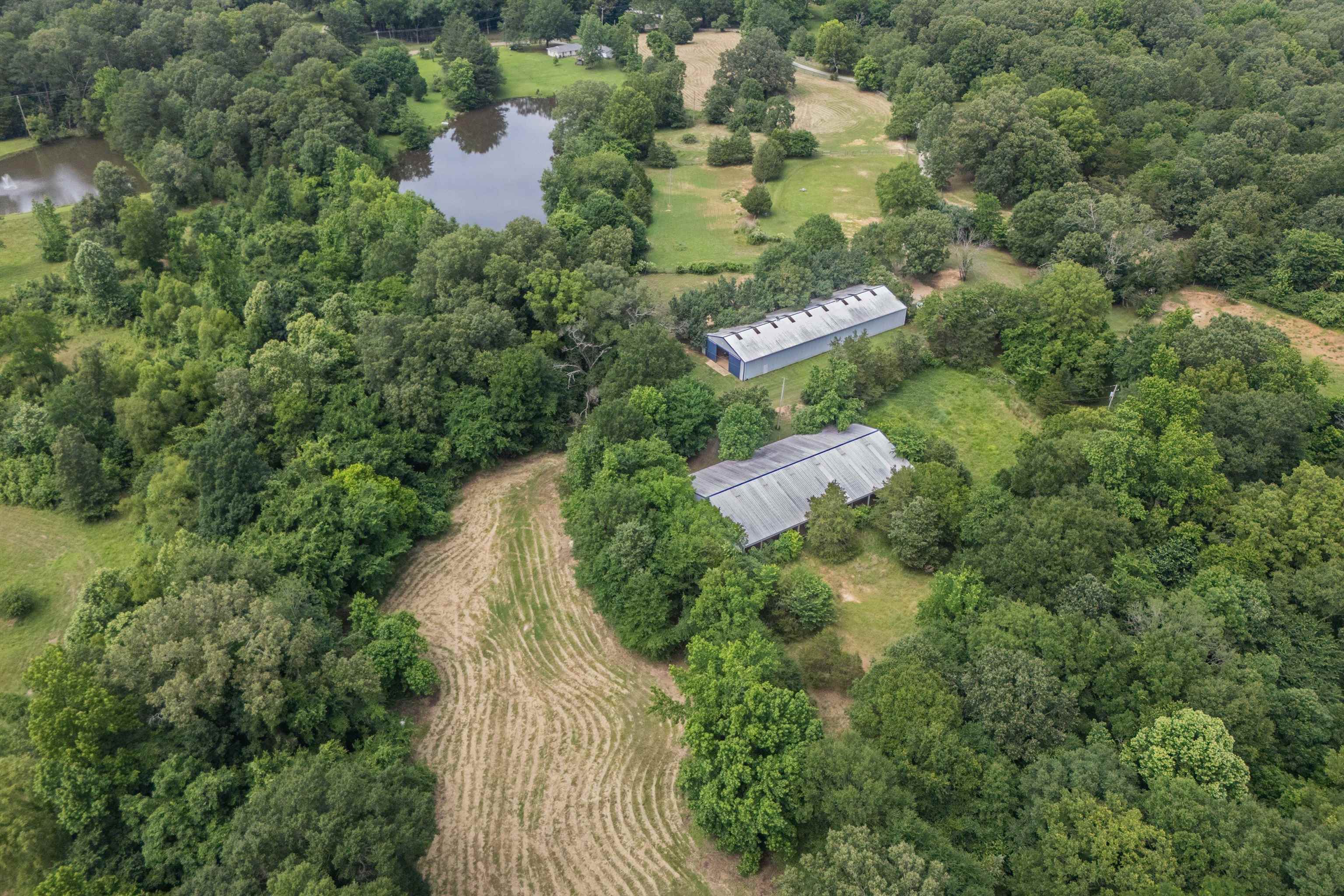 10409-10445 Raleigh Lagrange Road East Eads, TN 38028 - Photo 10 of 17 View of property location featuring a large body of water and a forest