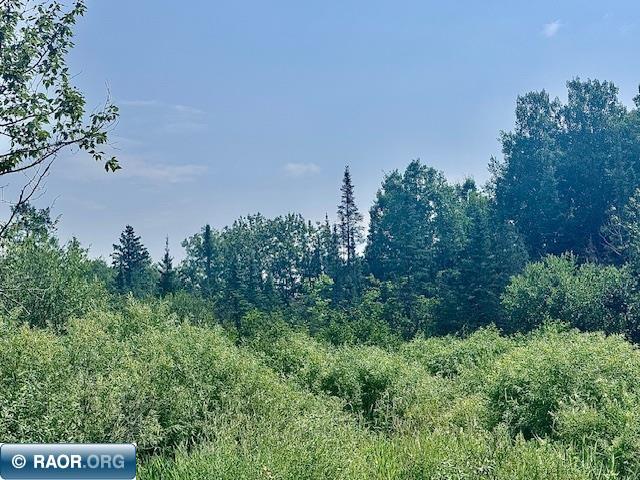Tbd Admiral Road Iron, MN 55751 - Photo 1 of 1