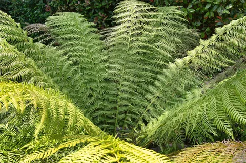 $985,000 | 110 Calle Merlot, Sonoma, CA 95476