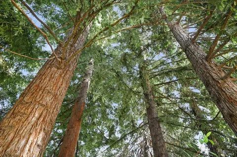 $985,000 | 110 Calle Merlot, Sonoma, CA 95476