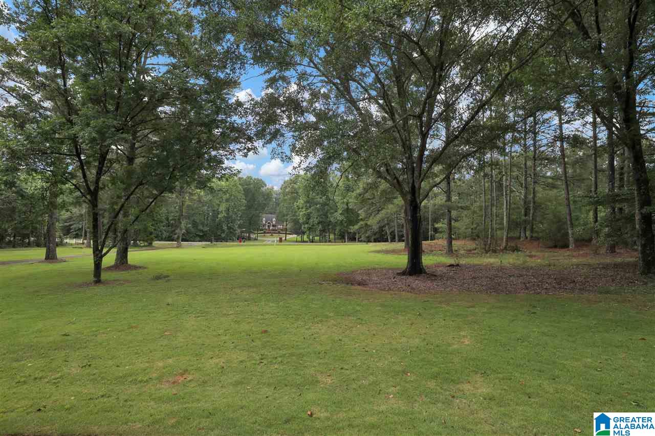 7040 Deer Haven Road Pinson, AL 35126 - Photo 2 of 29