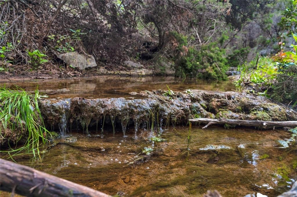 502 Grace Lane Austin, TX 78746 - Photo 3 of 37 WET WEATHER CREEK