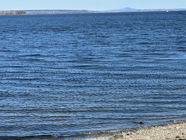 31 Ocean Street Belfast, ME 04915 - Photo 6 of 63 unnamed - 2026-04-11T133248.998