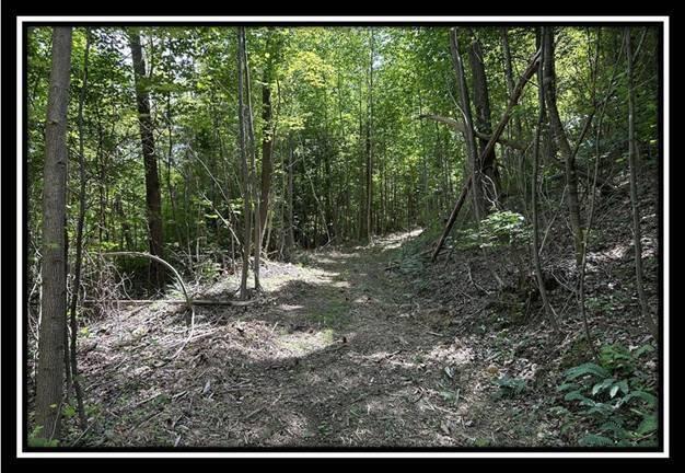 59 Weaver Road, Unit TRACT C) Chillicothe, OH 45601 - Photo 18 of 36 image018