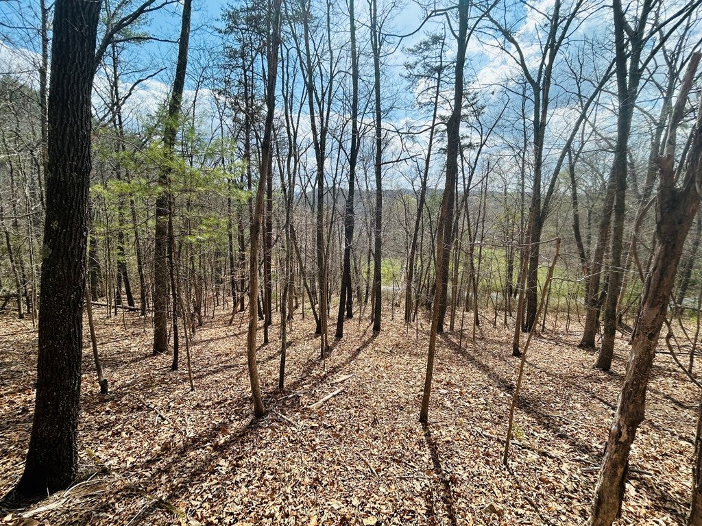 Tbd Julia Simpkins Road, Unit 118 Hiwassee, VA 24347 - Photo 19 of 22 Gallery Image 19
