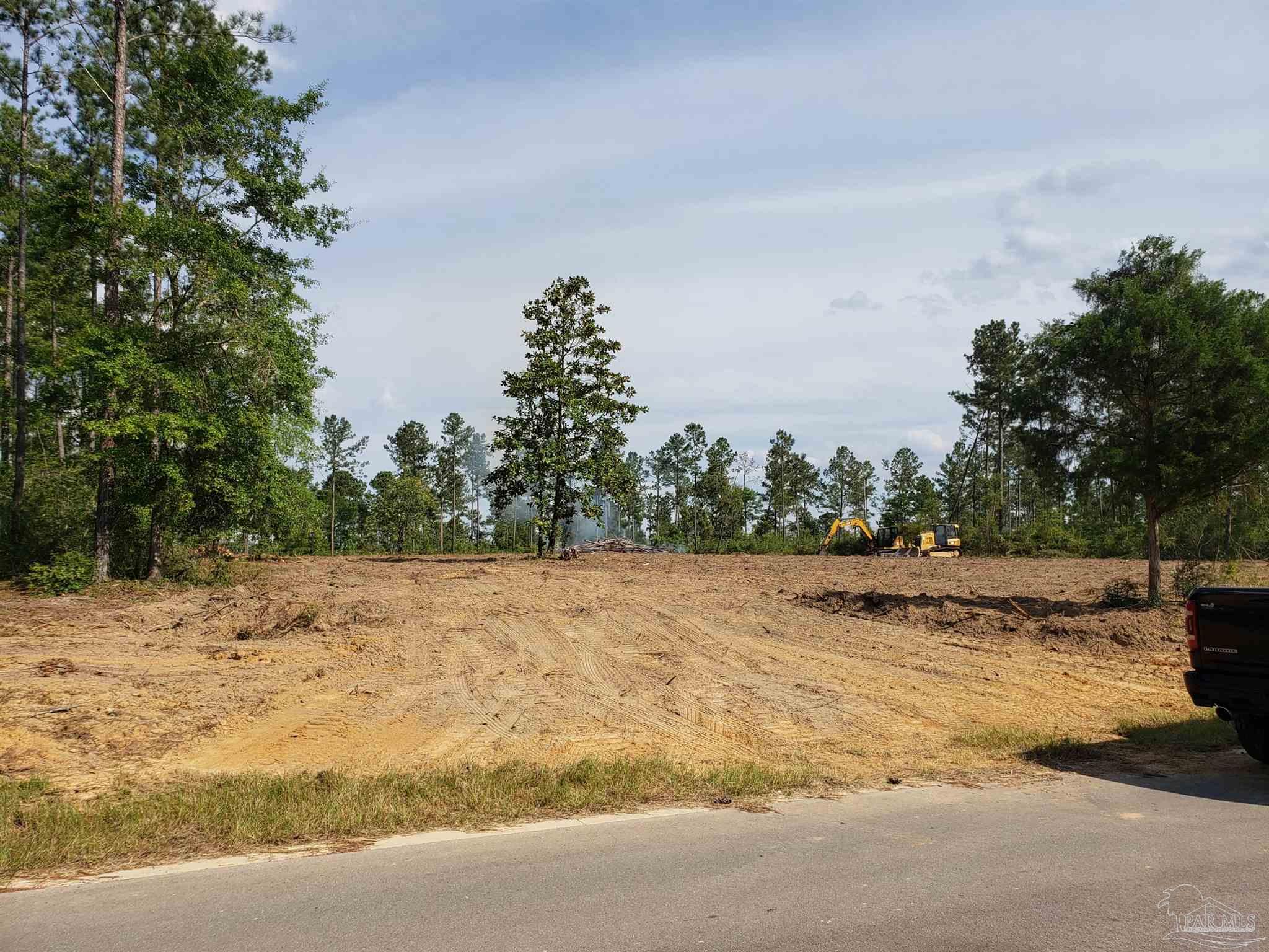 Lot 45-br Buffalo Ridge Road Pace, FL 32571 - Photo 1 of 3
