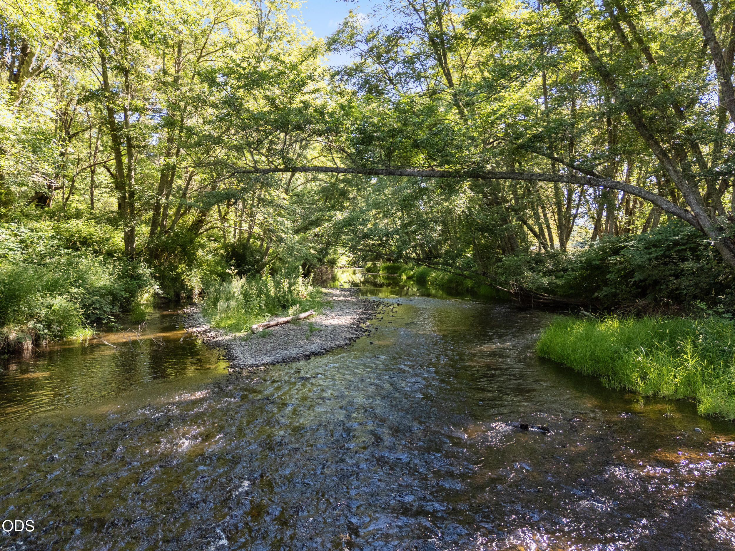 706 Creek Road Azalea, OR 97410 - Photo 17 of 23