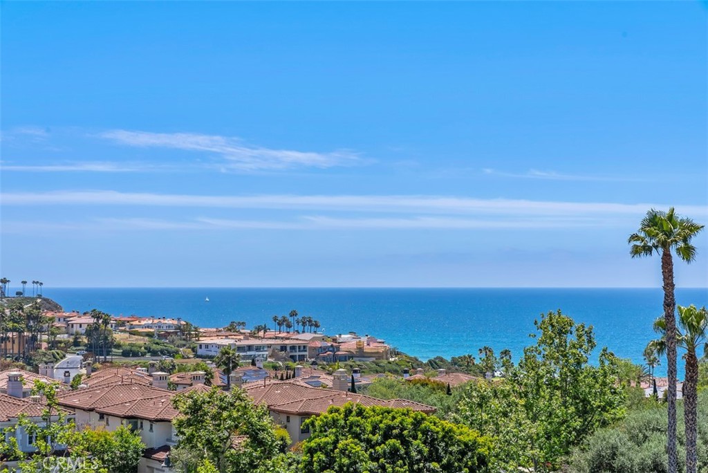 23294 Atlantis Way Dana Point, CA 92629 - Photo 47 of 59