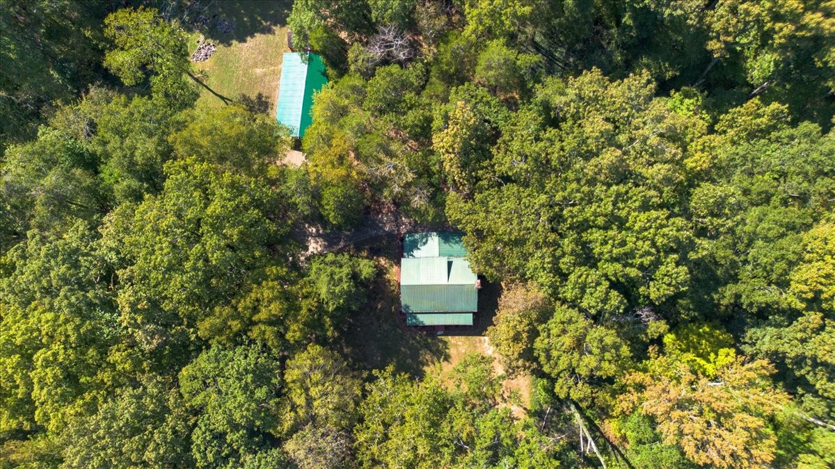 13041 Bakerville Road Waverly, TN 37185 - Photo 47 of 49 Gallery Image 47