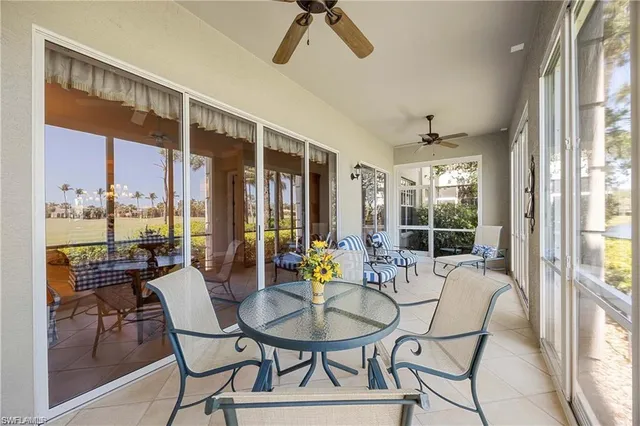a view of a tree in a yard with palm trees