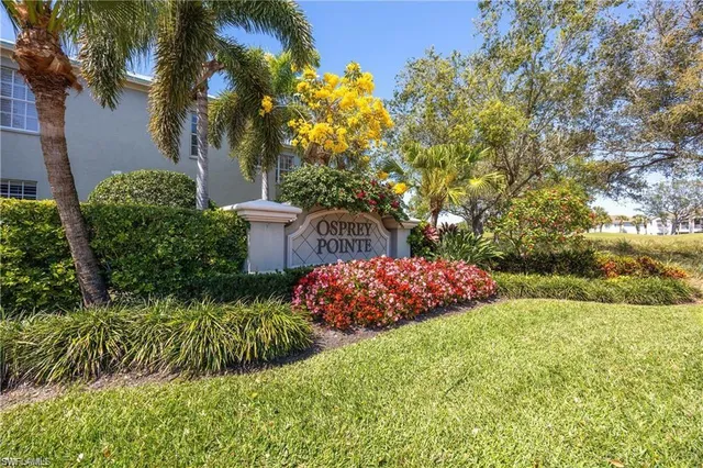 a view of park with palm trees