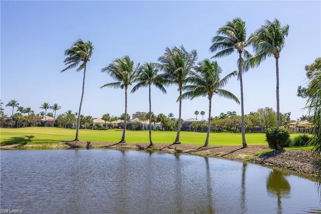 a view of a lake with a palm trees