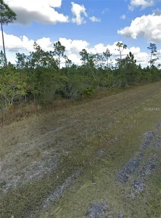 $23,000 | 1008 Callandra Drive, Indian Lake Estates, FL 33843