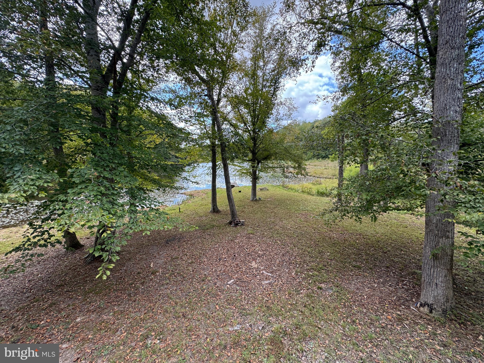 26374 Hill Road Ruther Glen, VA 22546 - Photo 24 of 31 a view of a forest with trees in the background