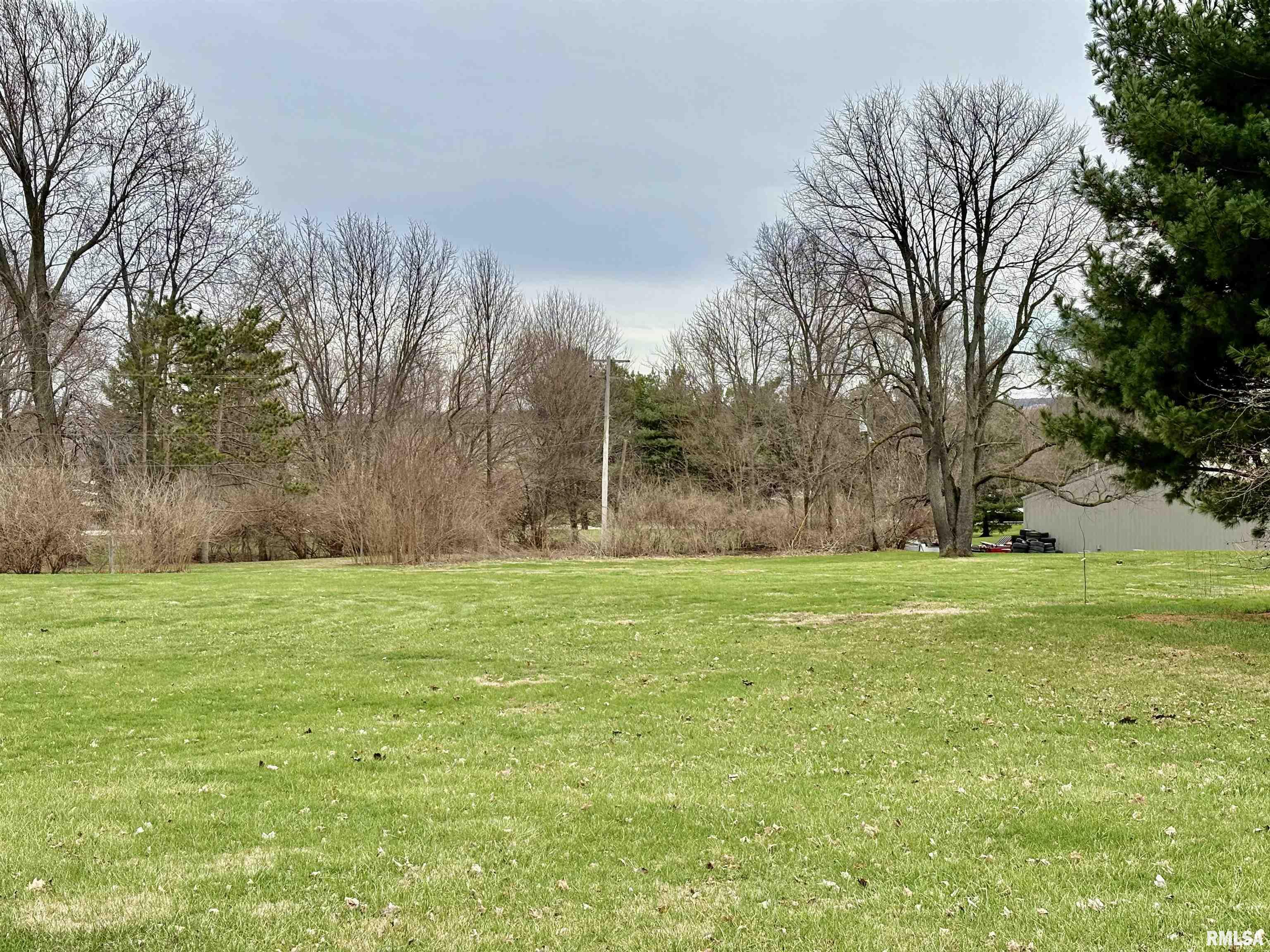 2355 Mound Road Jacksonville, IL 62650 - Photo 3 of 7