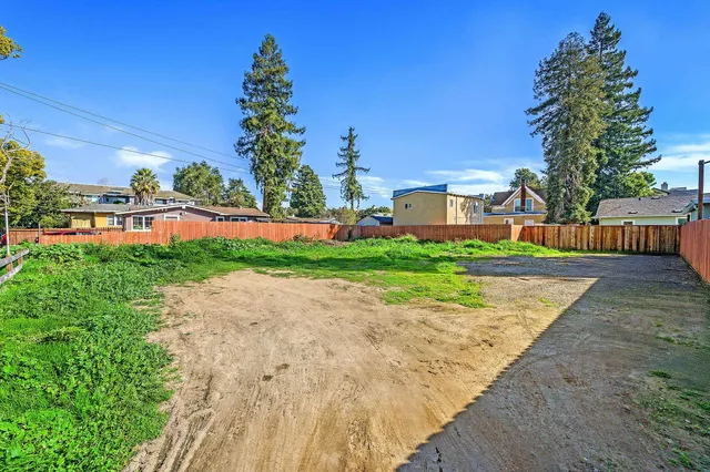 a view of a garden with large trees