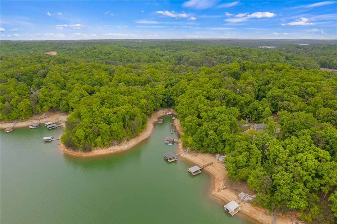 5 Shelor Ferry Road Fair Play, SC 29643 - Photo 9 of 17 Lake Hartwell Views – Sweeping drone view of Lake Hartwell, surrounding coves, and peaceful wooded shoreline.